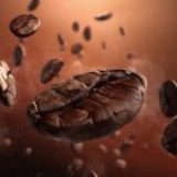 The Journey of Our Coffee Beans